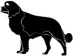 dog4.WMF