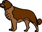 dog3.WMF