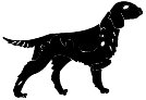 dog02.WMF