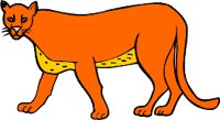 bigcat.WMF