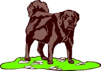 ad01513b.wmf