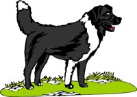 ad01512b.wmf