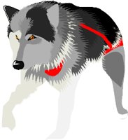 DOG013.WMF