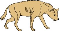 CS000217.WMF