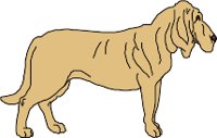 CS000120.WMF