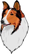 COLLIE.WMF