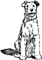 CC001868.WMF