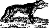 CC000546.WMF