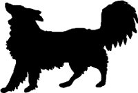 CC000420.WMF