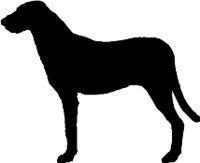 CC000360.WMF