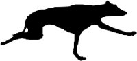 CC000321.WMF