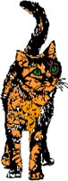 CAT1.WMF
