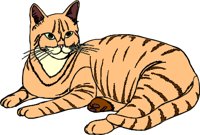 CAT001.WMF