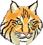 Bobcat5.wmf