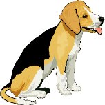 BEAGLE.WMF