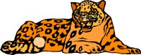 AI01025A.WMF