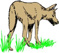 WDOG001.WMF