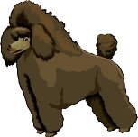TOYPOODL.WMF