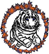 TIGERWHO.WMF
