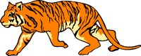 TIGER003.WMF