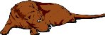 SLEEPDOG.WMF