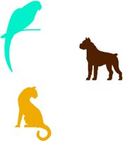 PET6.WMF