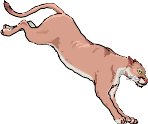 L_cougar.wmf