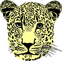 LEOPARD4.WMF