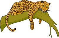 LEOPARD.WMF