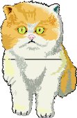 Kitten5.wmf