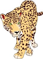 JAGUAR.WMF