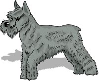 GCAH0981.wmf