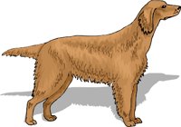 GCAH0975.wmf