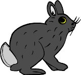 rabbit1.WMF