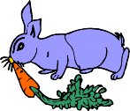rabbit01.WMF