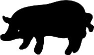 pig01.WMF