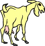 goat1.WMF