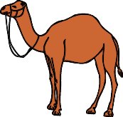 camel3.WMF