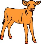 calf1.WMF