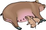 SOW.WMF