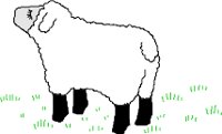 SHEEP004.WMF
