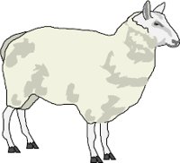 SHEEP003.WMF