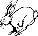 Rabbit44.WMF