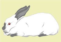 RABBIT2.WMF