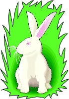 RABBIT.WMF