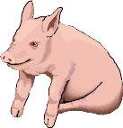 Piglet5.wmf