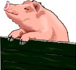 PIG_2.WMF