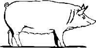 PIG003.WMF