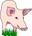 PIG002.WMF