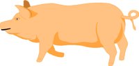 PIG001.WMF